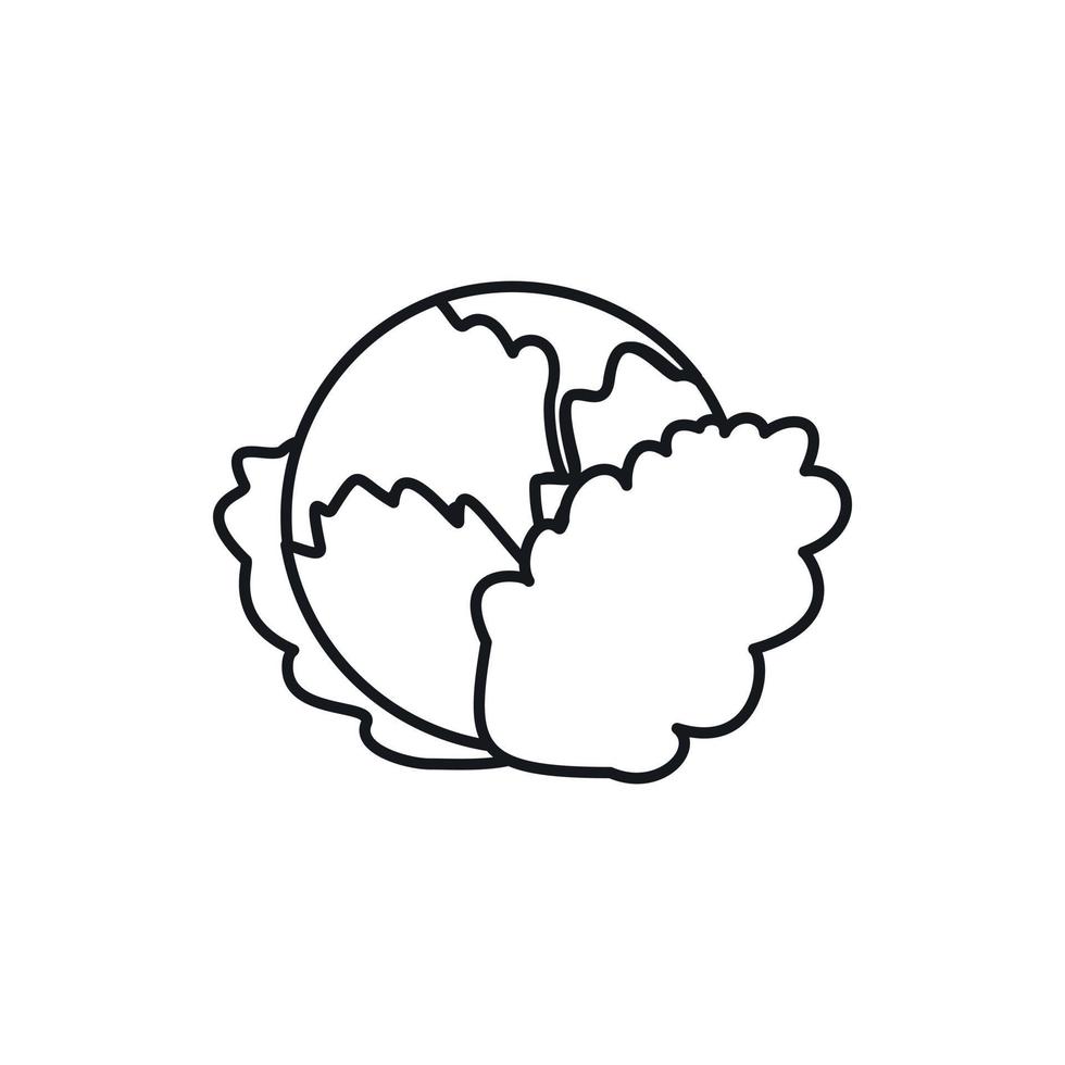 Cabbage icon, outline style vector