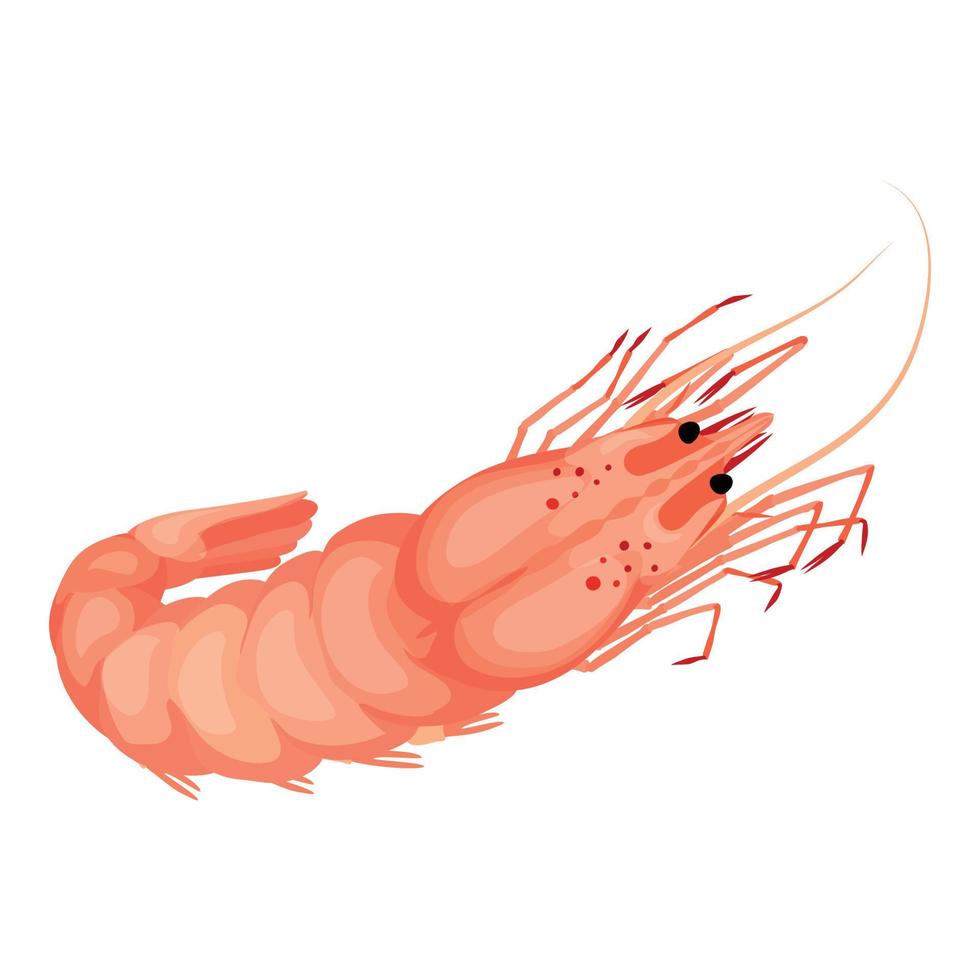 Sea shrimp icon, cartoon style vector