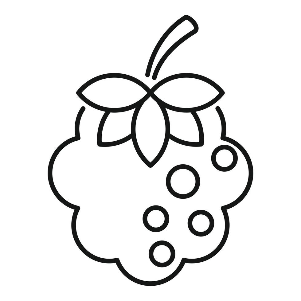 Summer blackberry icon, outline style vector