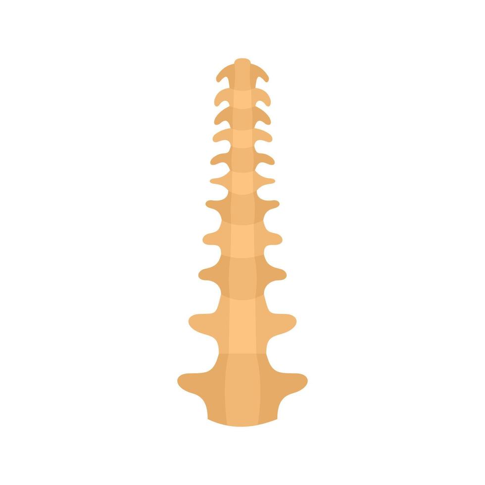 icono de la columna vertebral humana, estilo plano vector