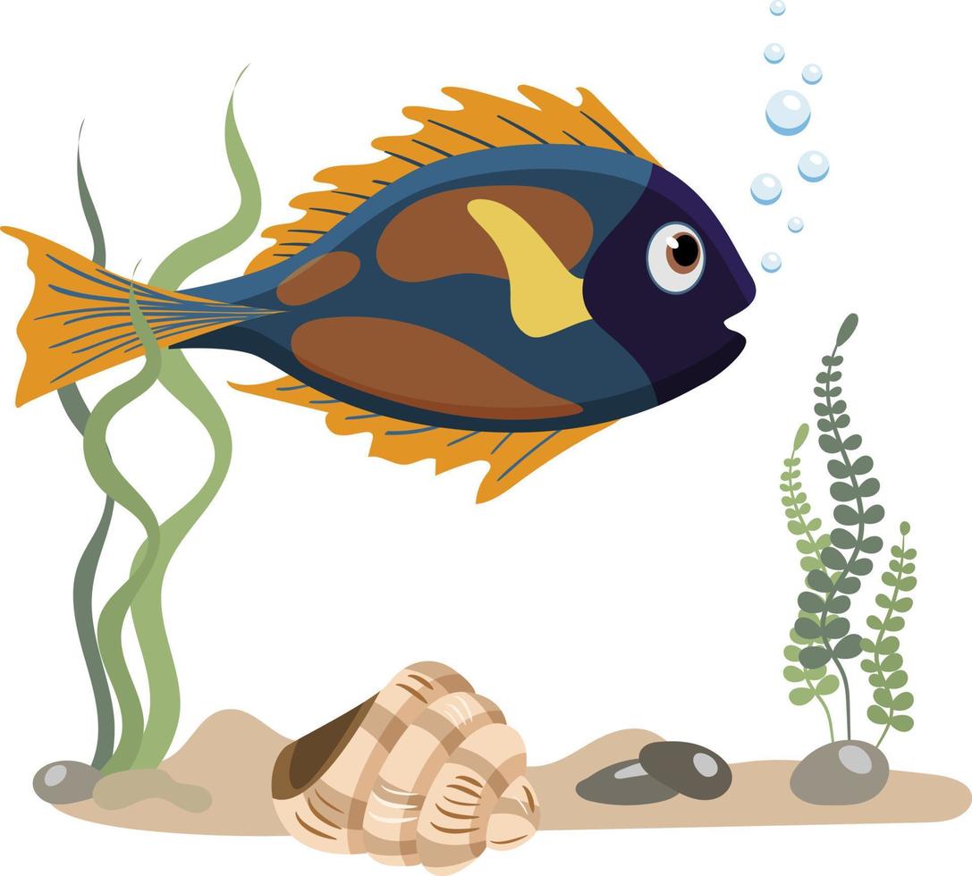 Single aquarium blue cartoon surgeonl fish with seaweed and stones, isolated on white background vector