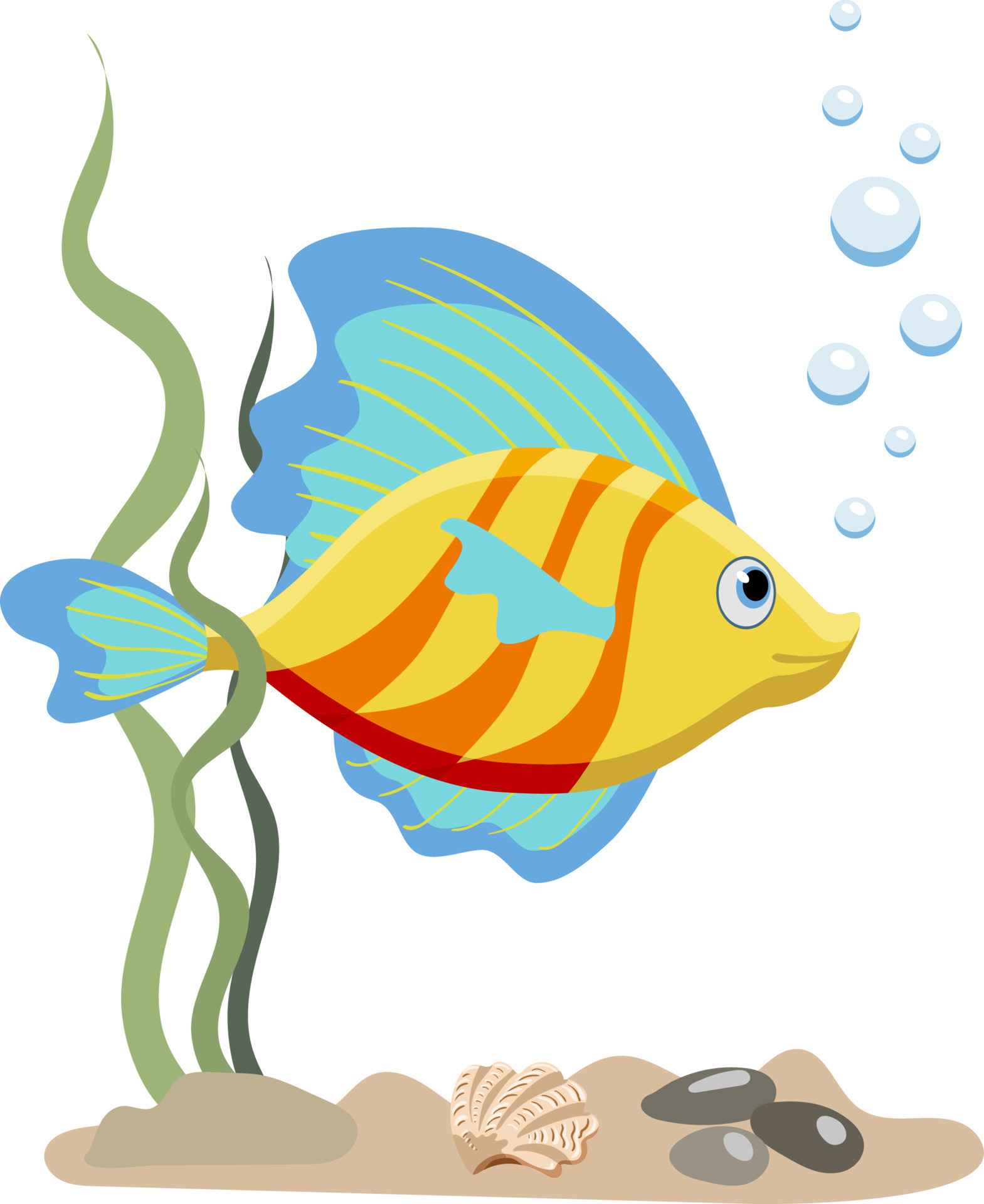 Single aquarium blue and yellow tropical fish with seaweed and stones