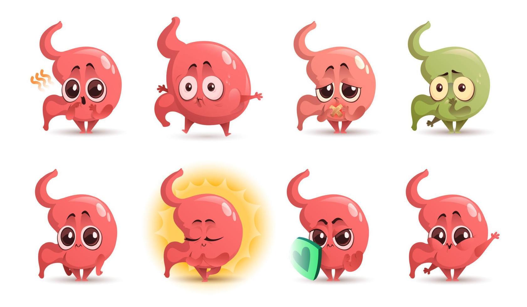 Cartoon stomach character, cute tummy mascot. vector