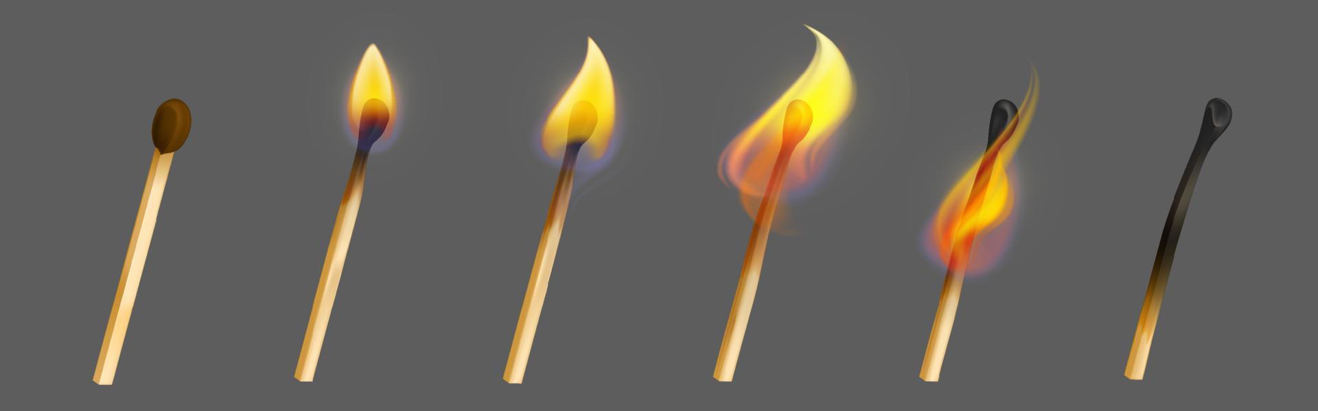 Match stick with fire in different stage of burn vector