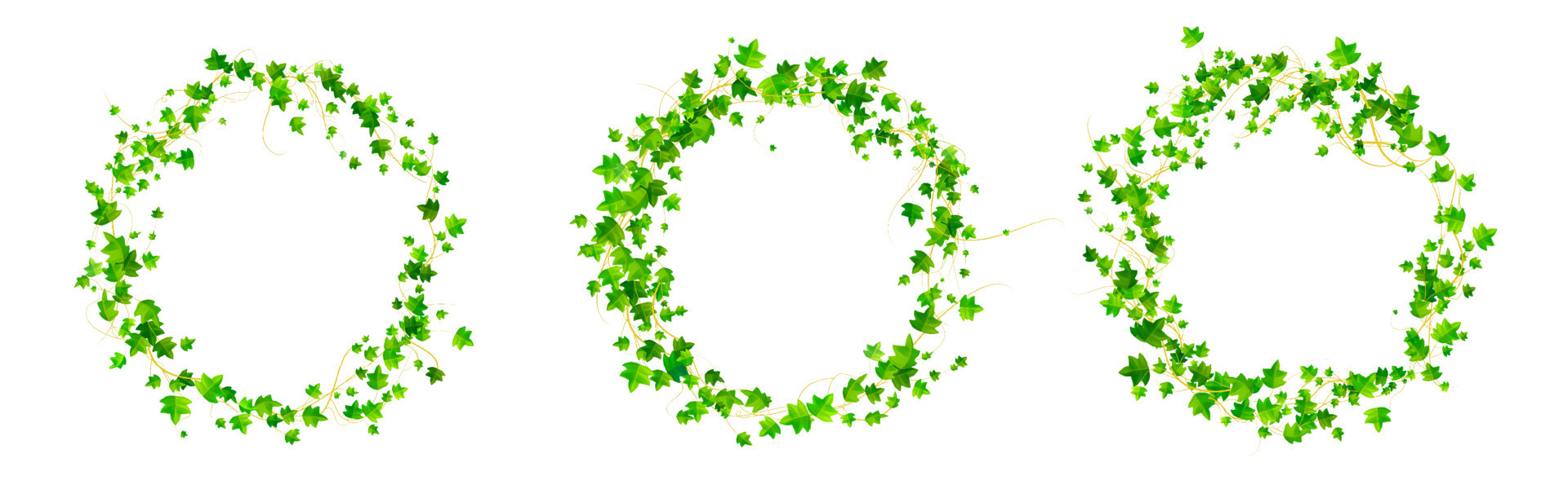 Vine Circle Border Vector Art, Icons, and Graphics for Free Download