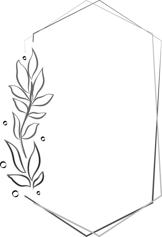 Hexagonal frame decorated with some plant leaves it is used in designs clip art and templates vector