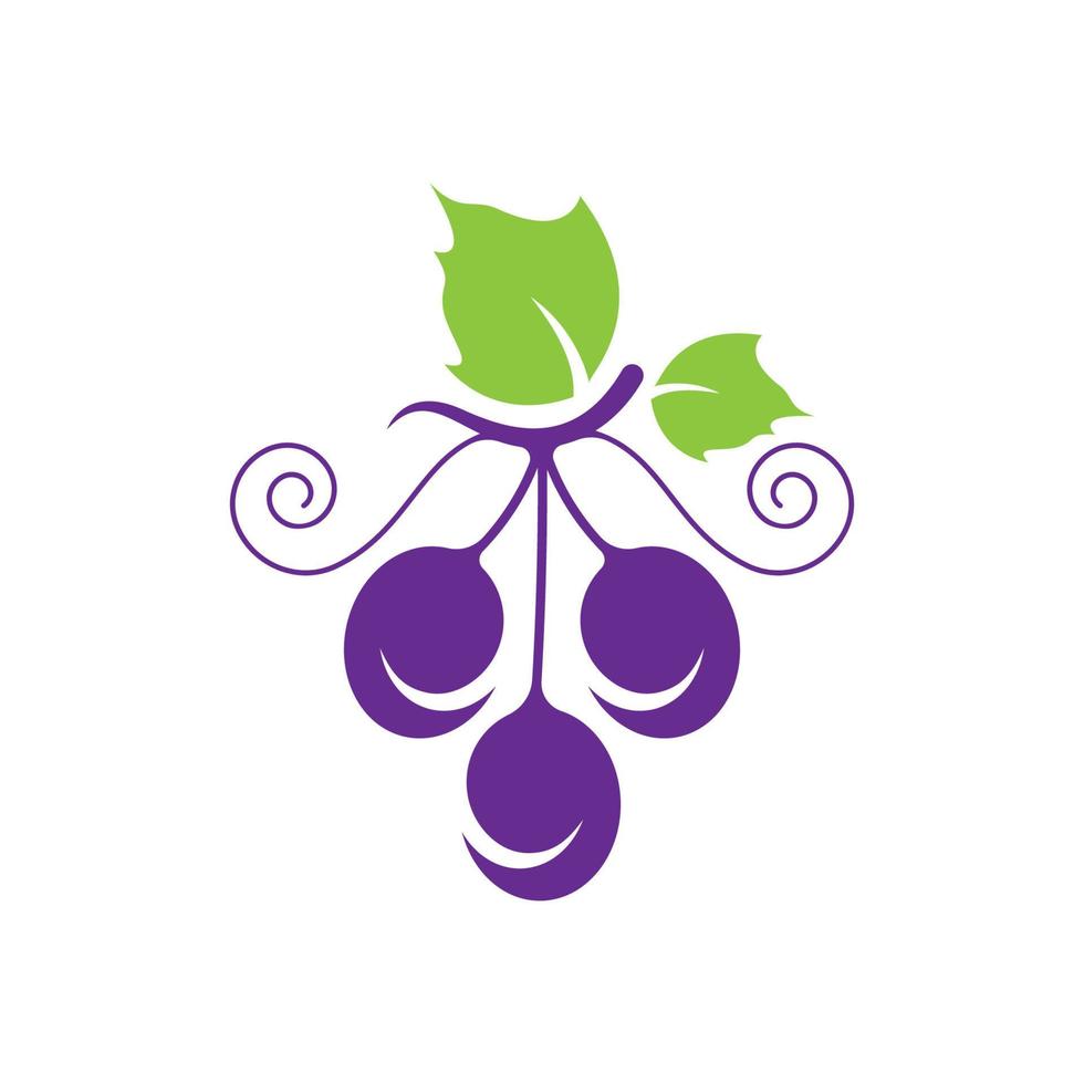 Grape logo images vector