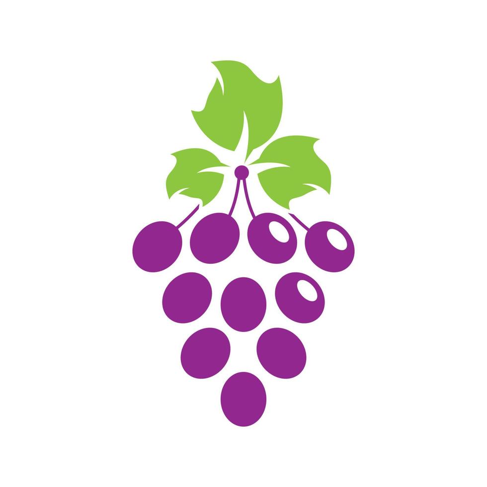 Grape logo images vector
