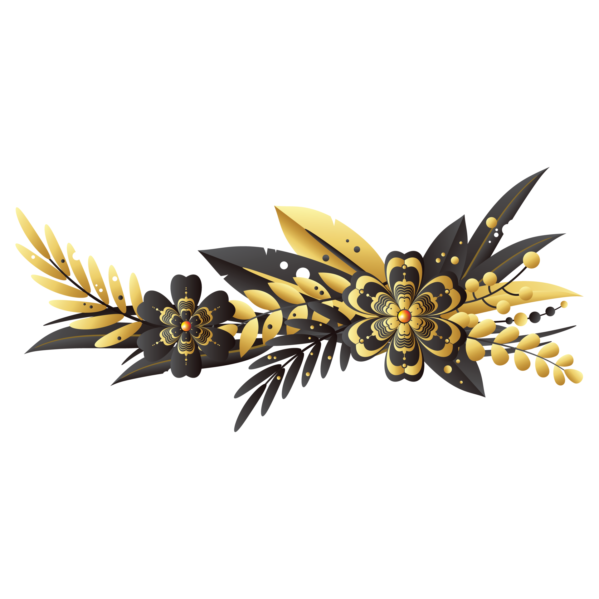 Dry flower horizontal frame 14604040 PNG