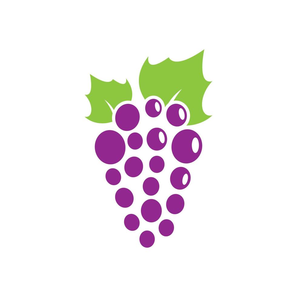 Grape logo images vector