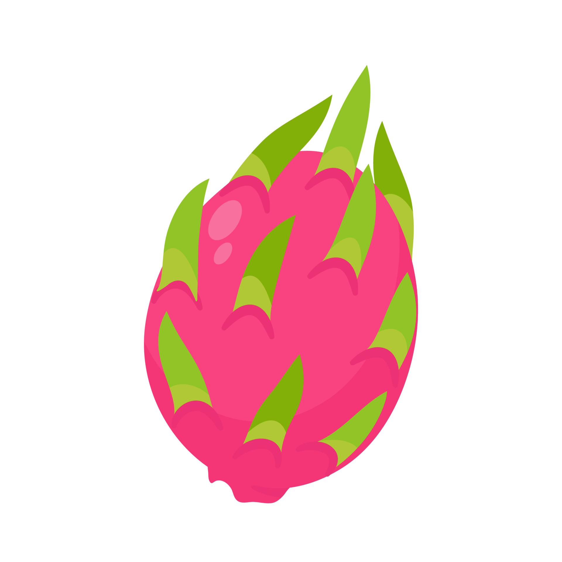 Dragon fruit. Sweet fruit for health. Gives freshness during summer for