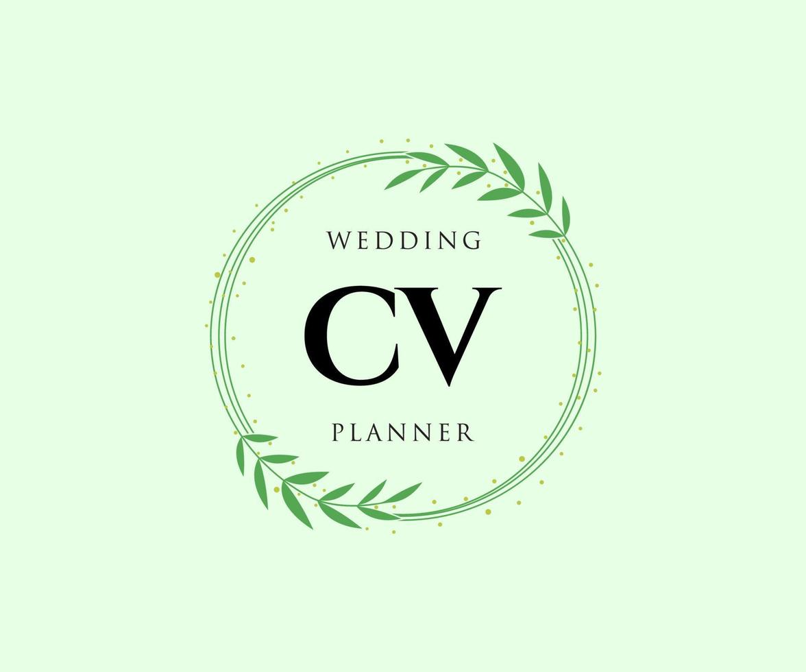 colección de logotipos de monograma de boda con letras iniciales cv, plantillas florales y minimalistas modernas dibujadas a mano para tarjetas de invitación, guardar la fecha, identidad elegante para restaurante, boutique, café en vector