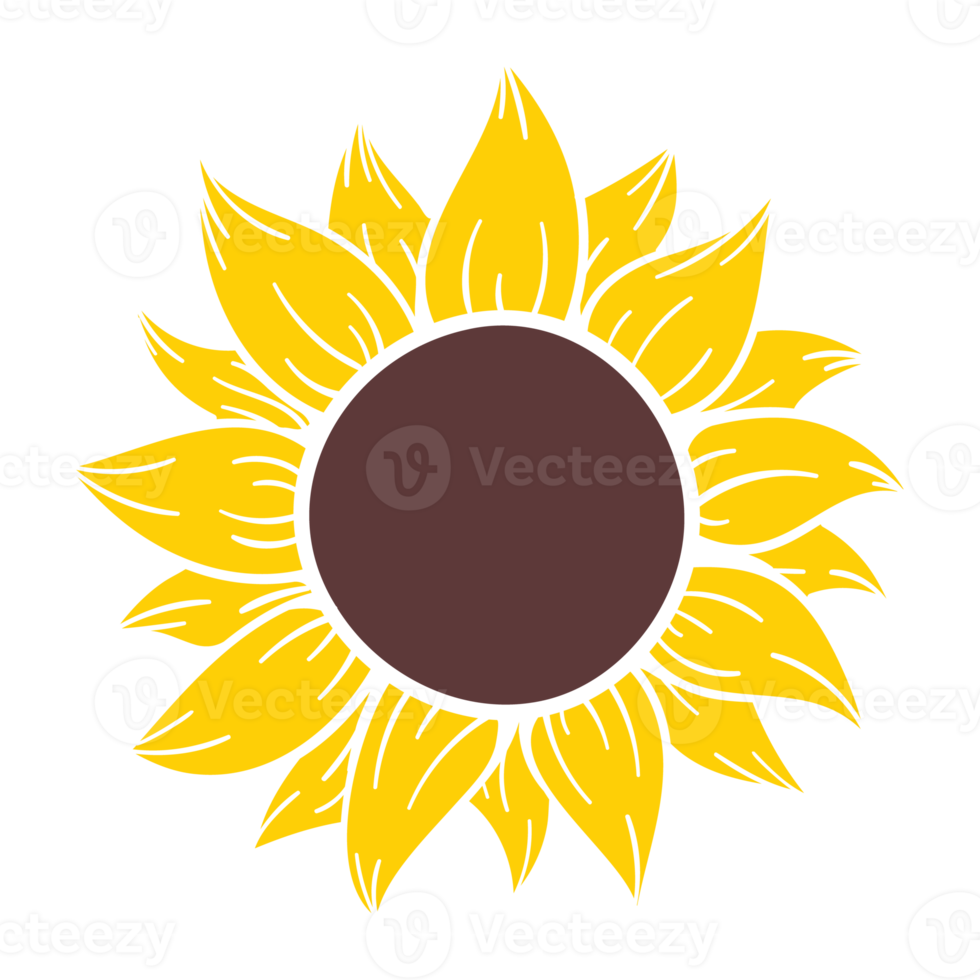 blooming yellow sunflowers full of sunflower seeds inside for decorating welcome cards png