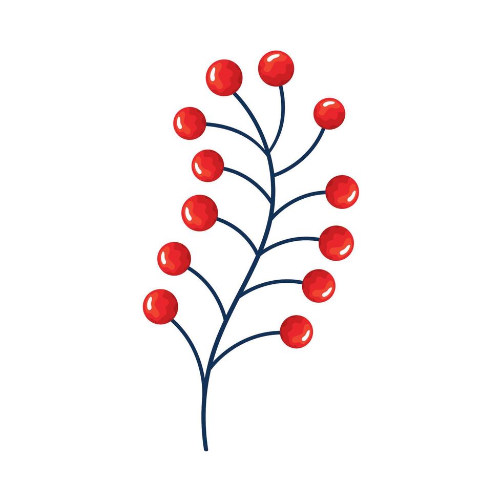 branch with reed beans vector