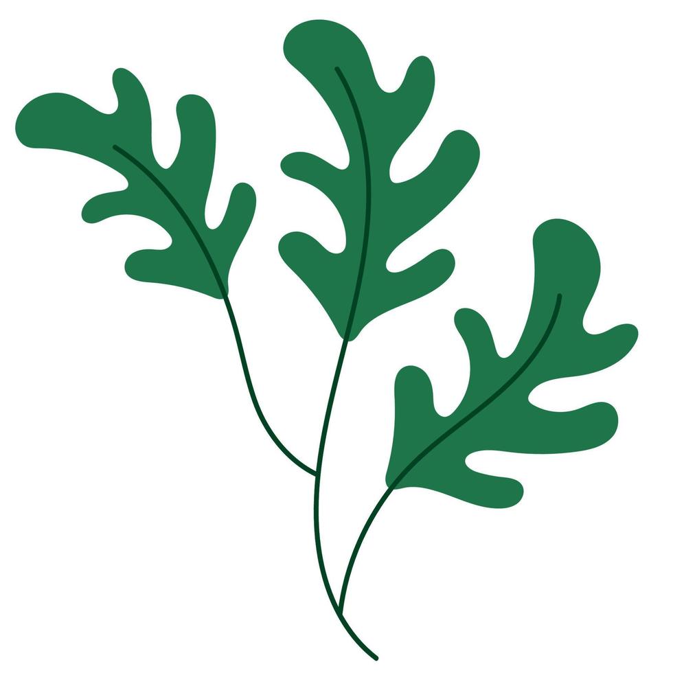 leafs plant foliage vector
