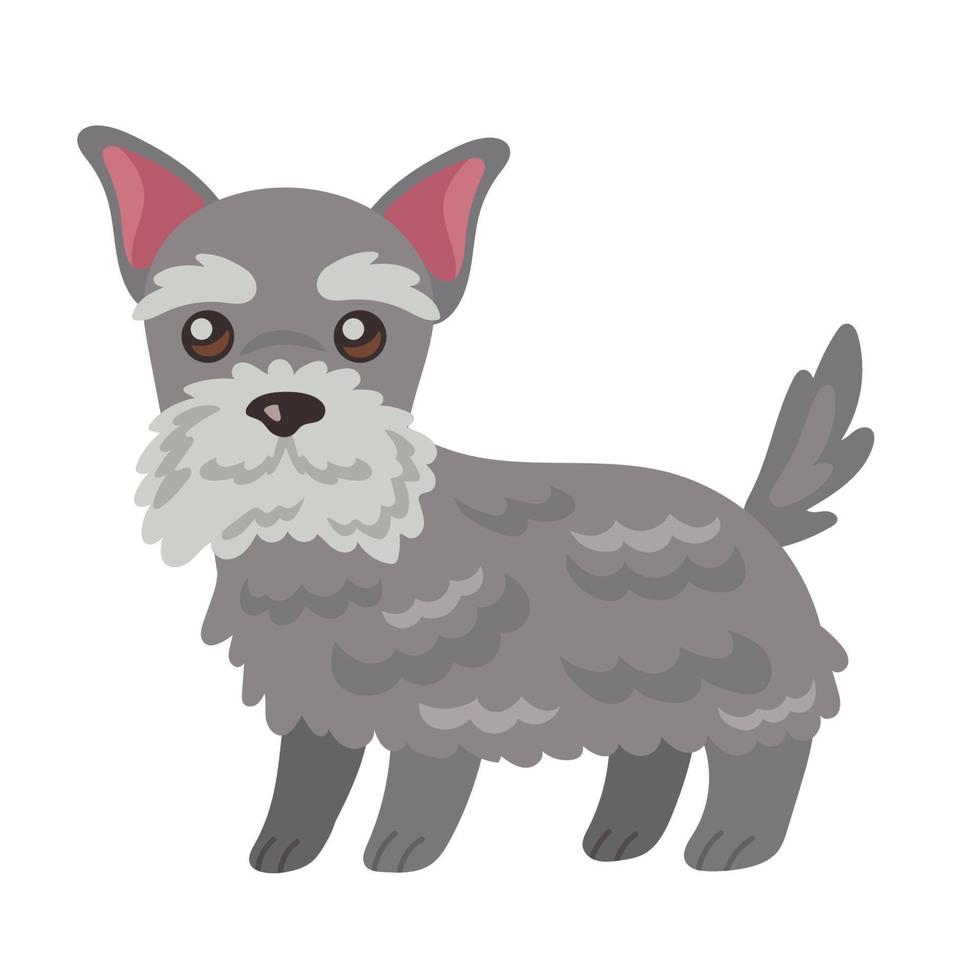 lindo perro schnauzer vector