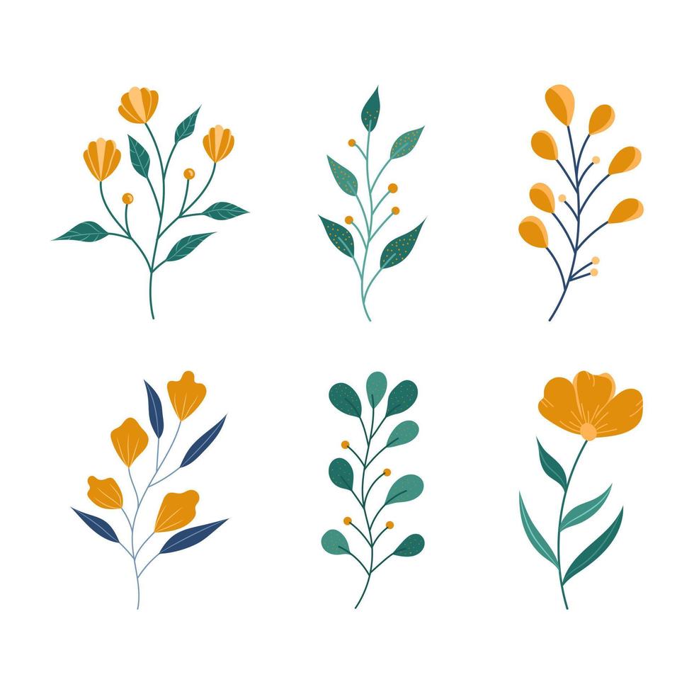 Set of hand drawn abstract botanical illustration,floral branch illustration vector