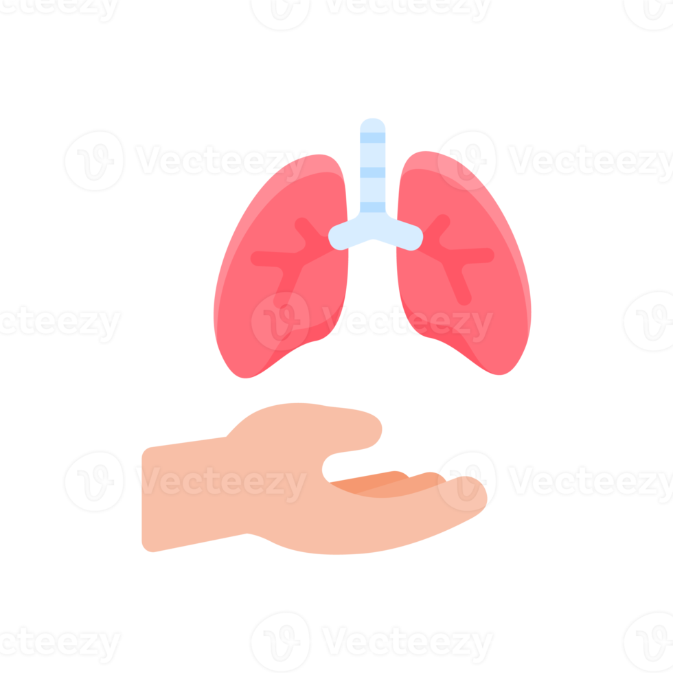 mano che sostiene gli organi interni il concetto di donazione di organi per il trattamento dei pazienti png