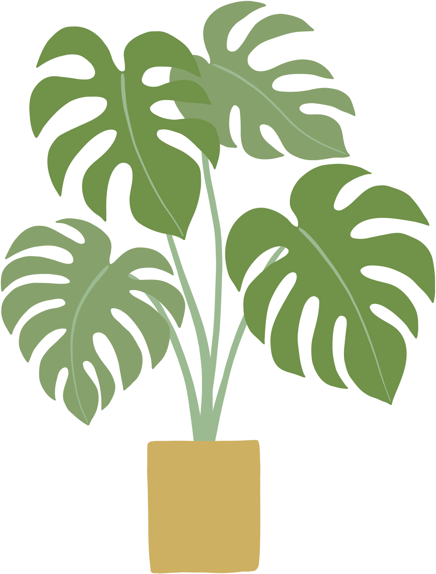 monstera plant freehand drawing flat design. 14606876 PNG