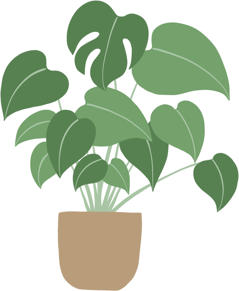 monstera växt freehand teckning platt design. png