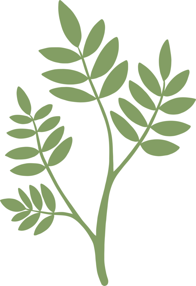 simplicity floral freehand drawing flat design. png