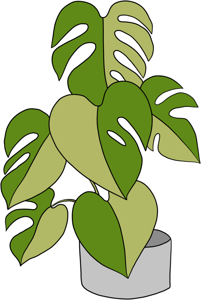 monstera växt freehand teckning platt design. png