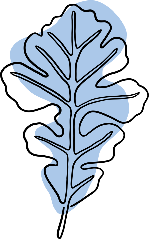 simplicity maple freehand drawing flat design. png
