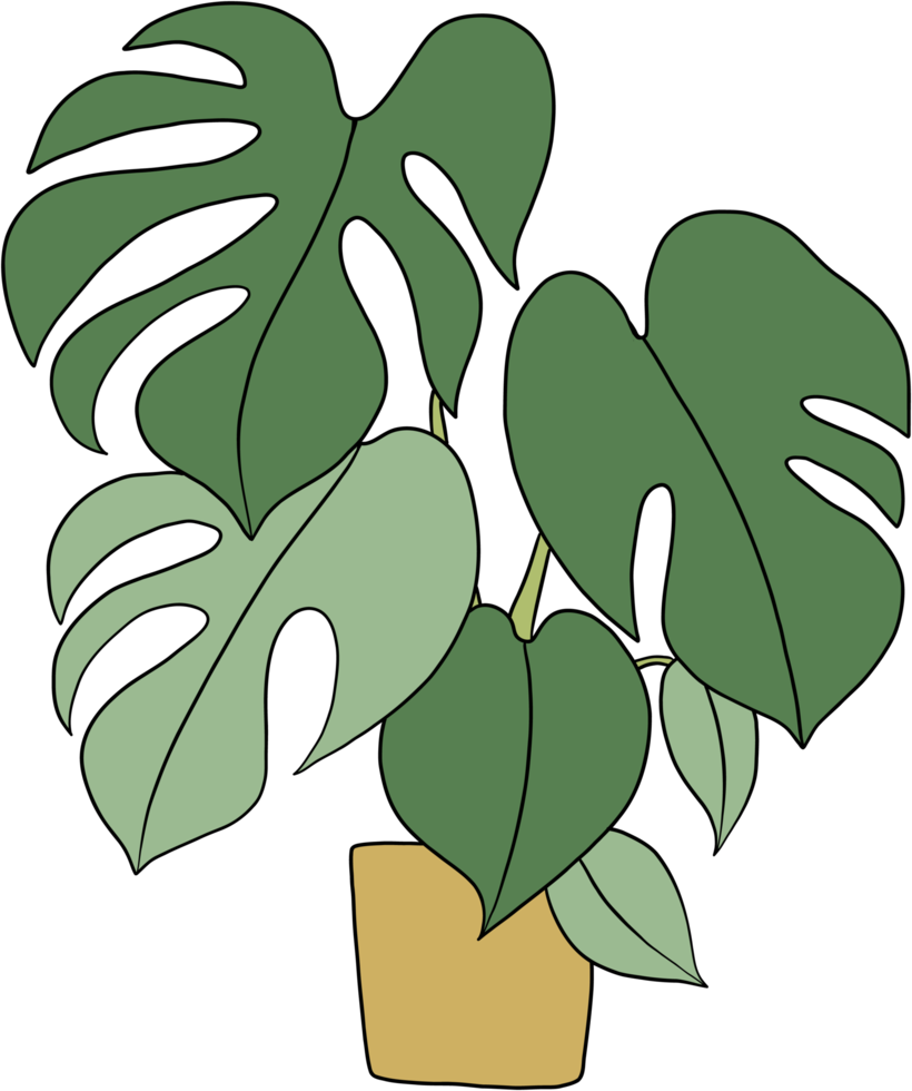 monstera växt freehand teckning platt design. png