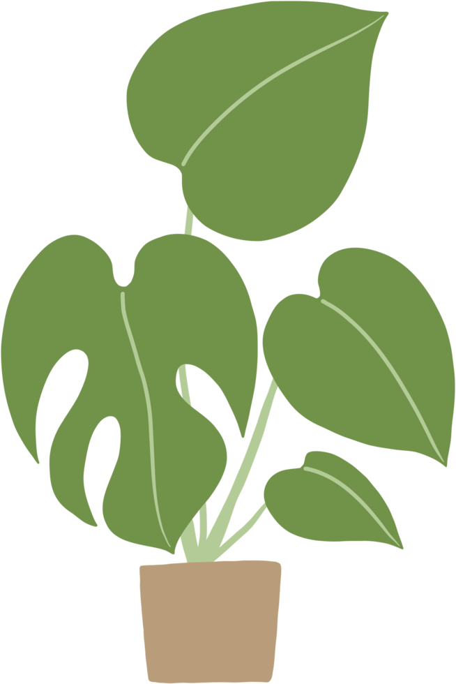 monstera fabriek uit de vrije hand tekening vlak ontwerp. png