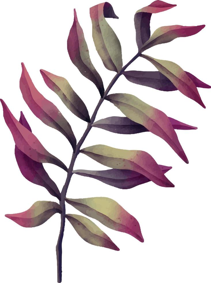 Watercolor leaf branches. Hand drawn watercolor illustration vector