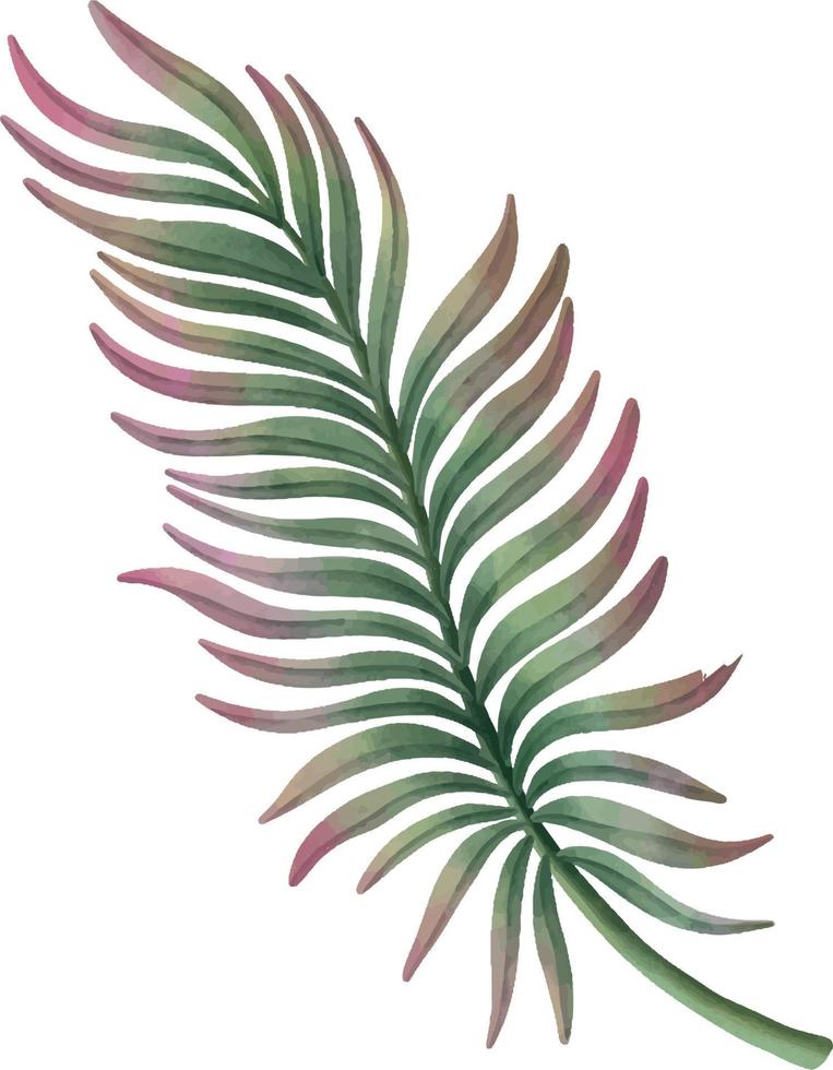 Watercolor leaf branches. Hand drawn watercolor illustration vector