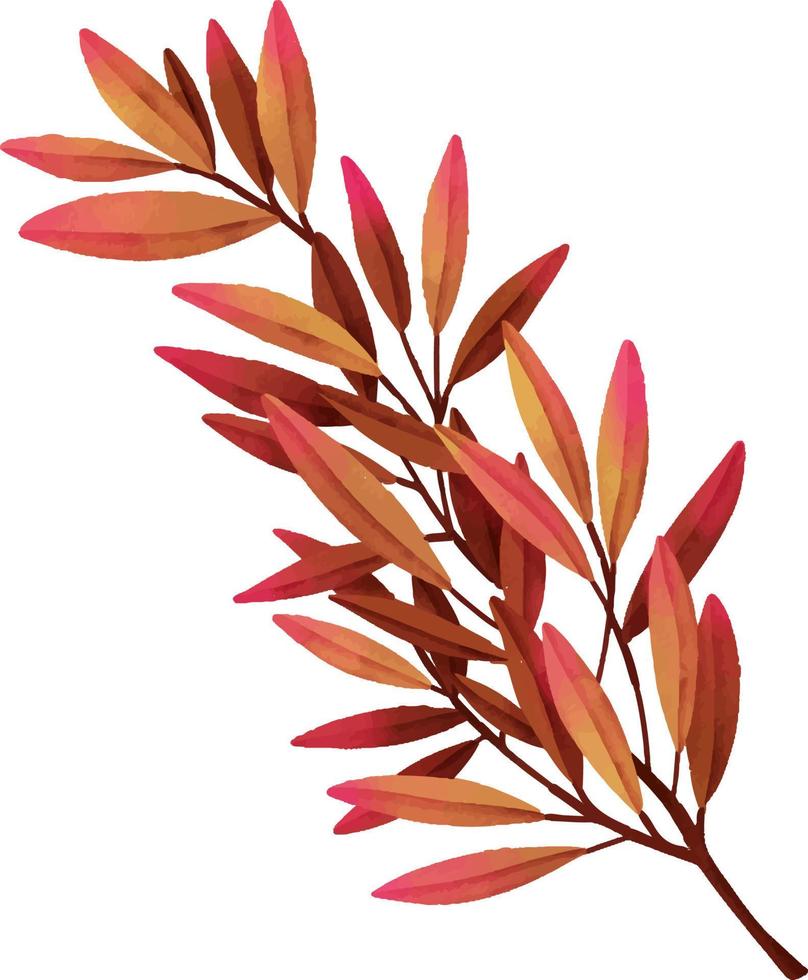 Watercolor leaf branches. Hand drawn watercolor illustration vector