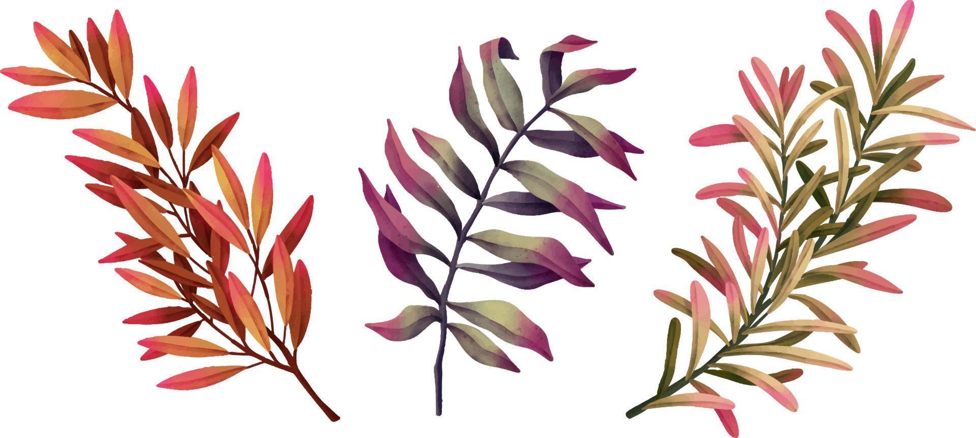 Set of watercolor leaf branches. Hand drawn watercolor illustration vector