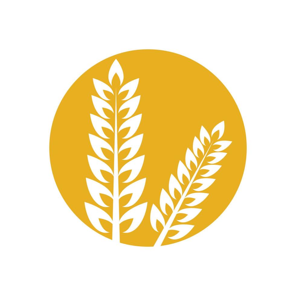 Wheat logo images vector