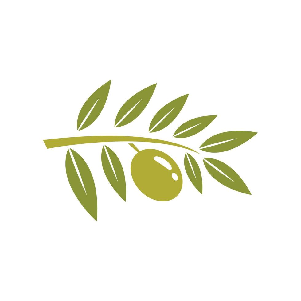 Olive logo images illustration vector