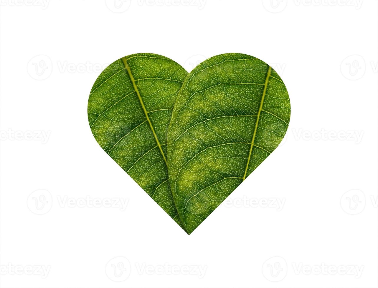 Green Heart made of green leaves on soil background ecology concept photo