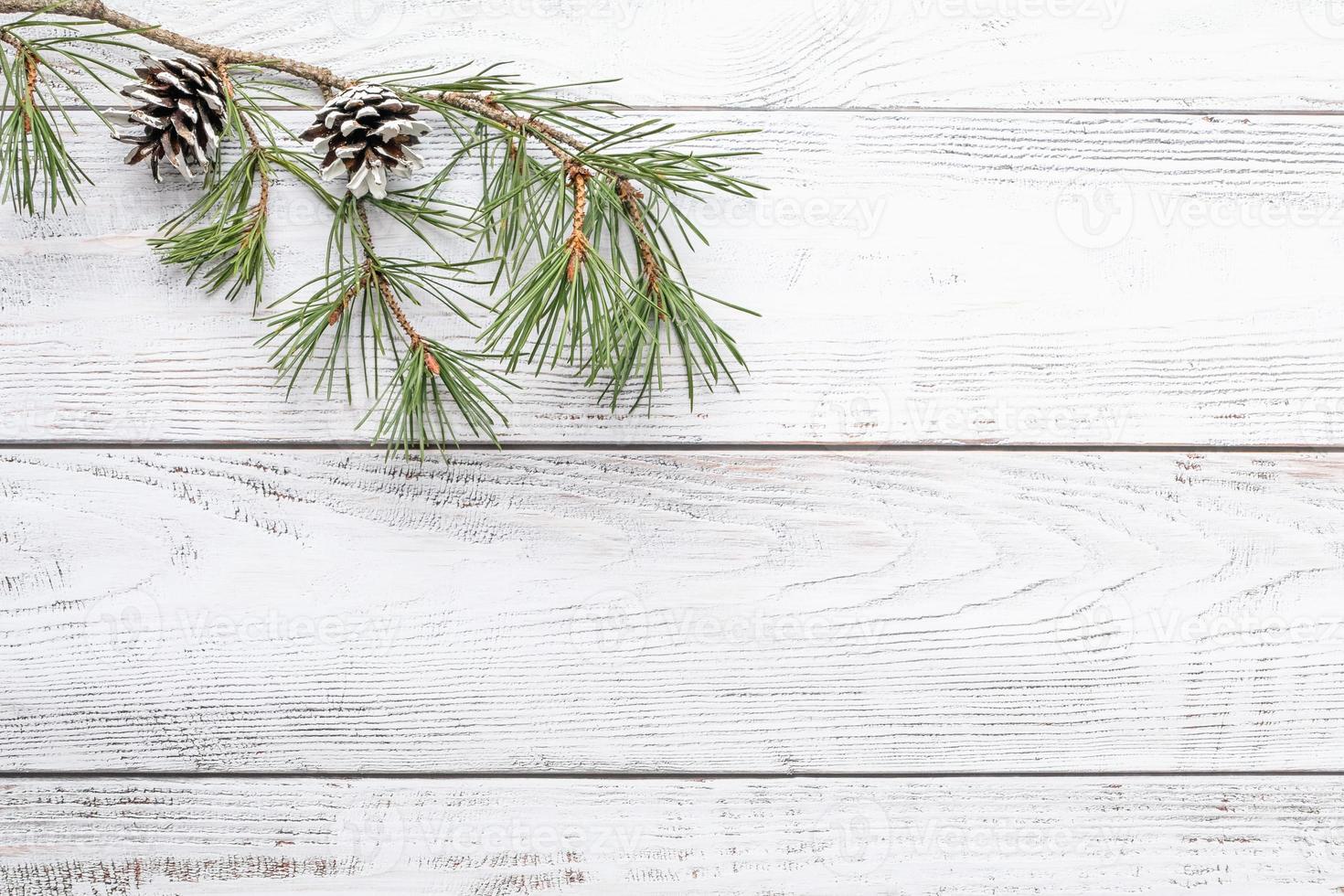 Pine tree branch on white wooden background for winter holidays designs, flat lay, copy space photo