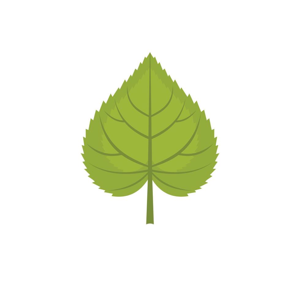 Linden leaf icon, flat style vector