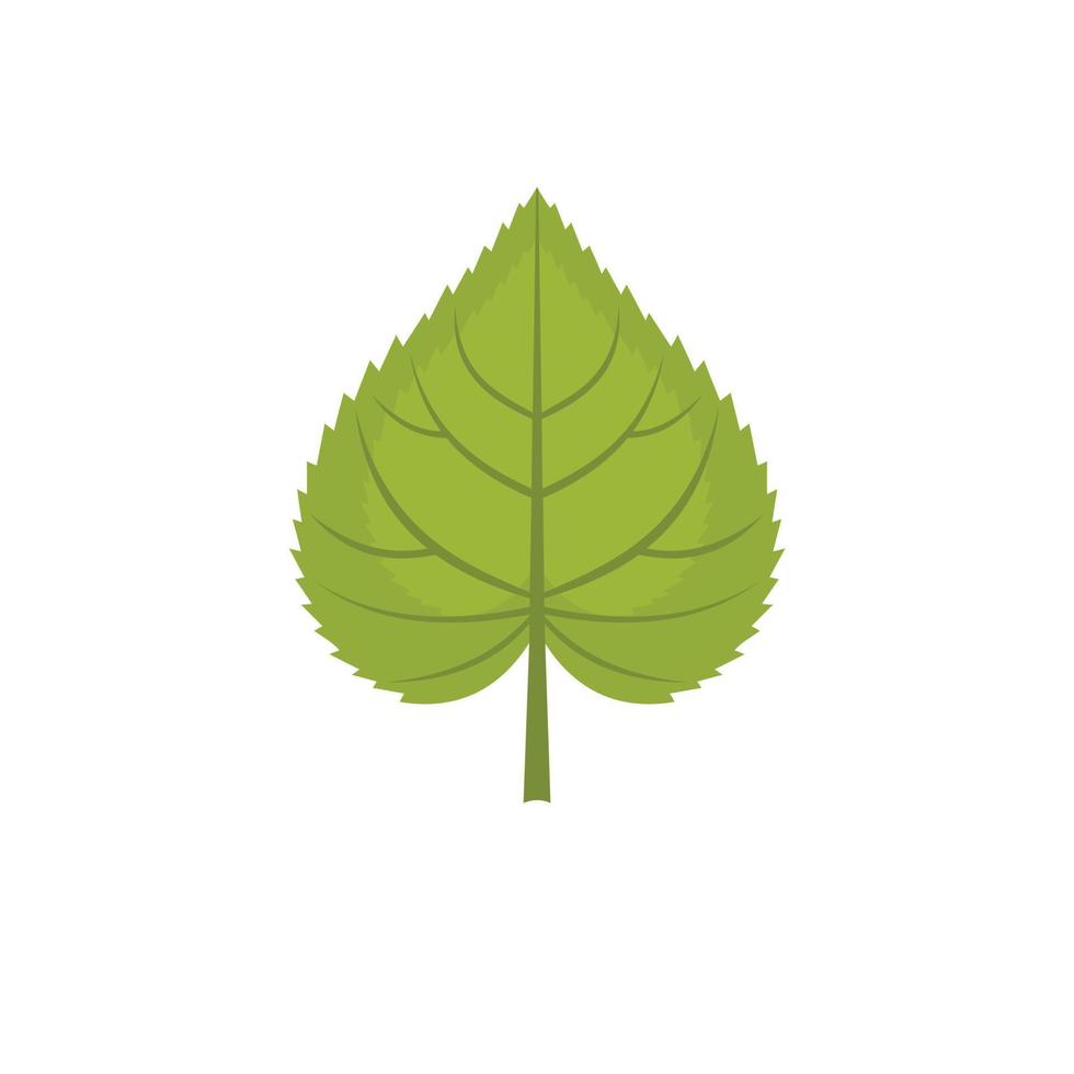 Linden leaf icon, flat style vector