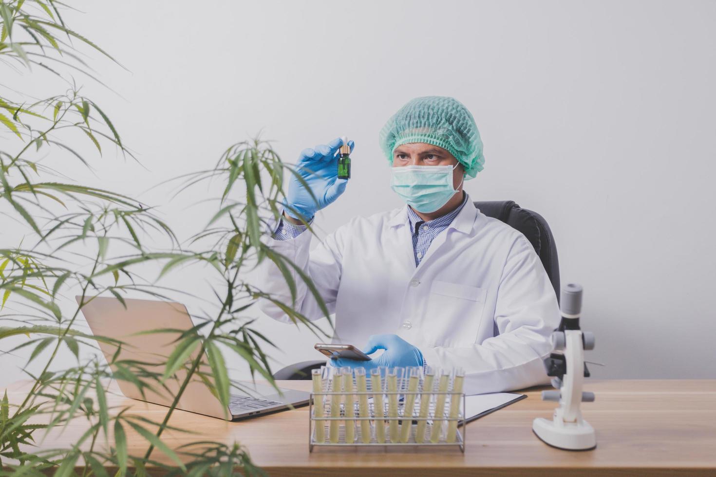 Cannabis researchers are doing scientific experiments. photo