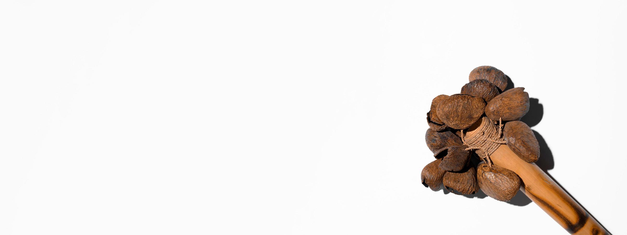 Bamboo maracas on a white background, top view. Ethnic musical instrument banner, copy space. photo