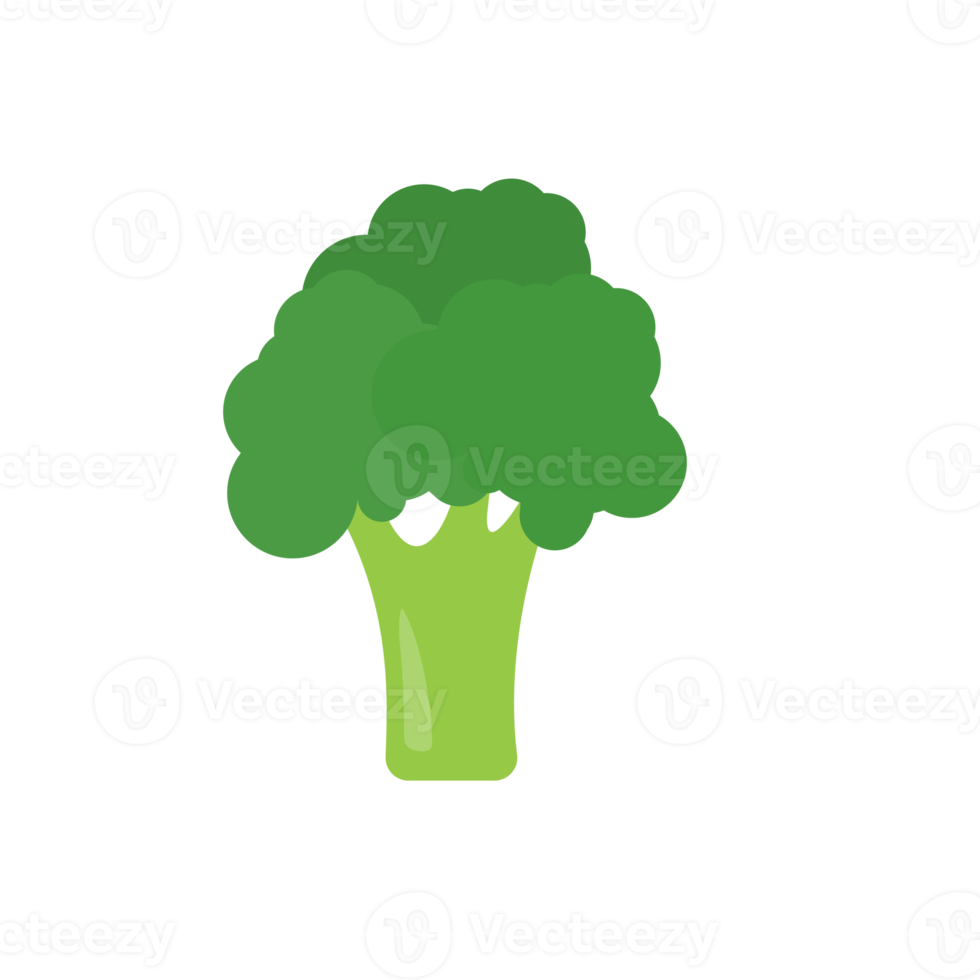 grön broccoli. hälsosamma grönsaker för barn png