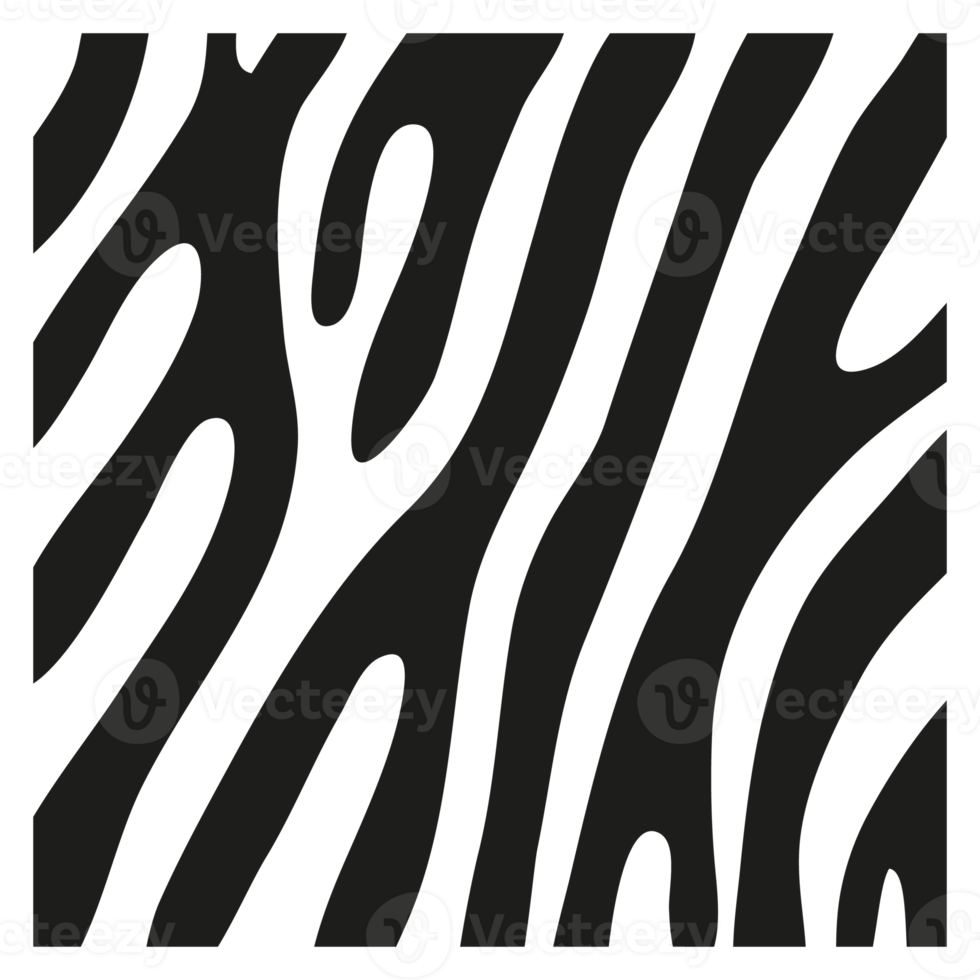 Black stripes on the skin of a zebra for decoration graphics png