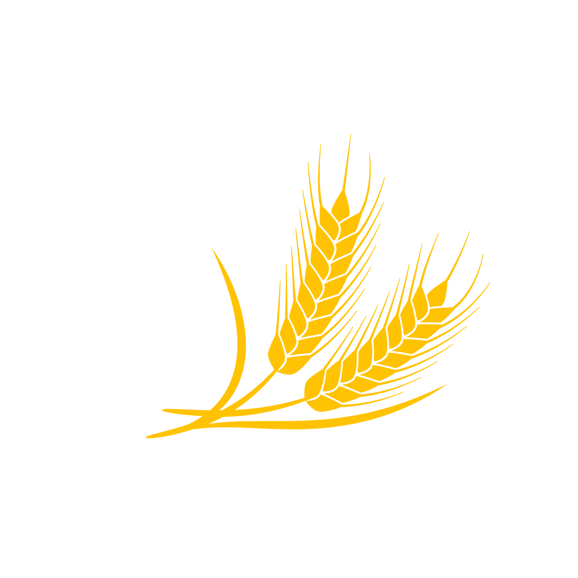 espigas de trigo. grãos integrais para fazer pão. 14612279 PNG