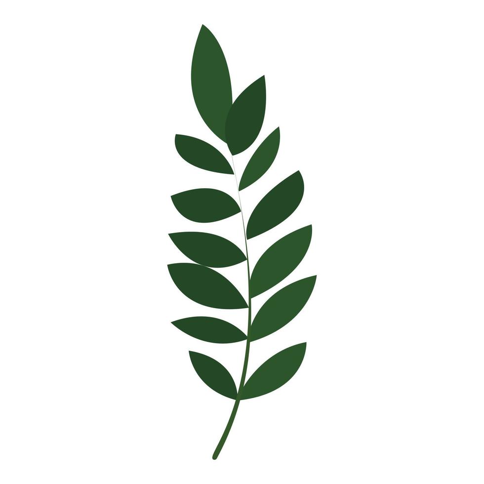 Exotic botany leaf icon, cartoon style vector