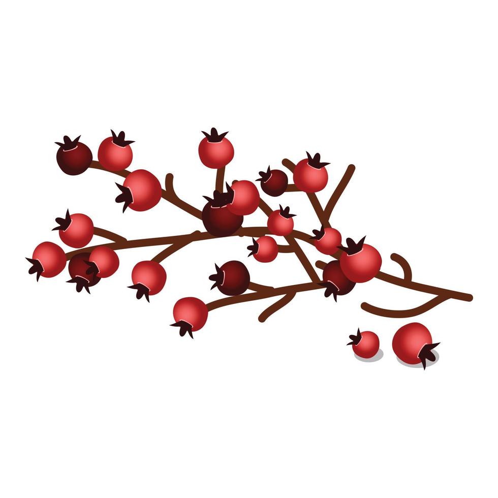 Rosehip fruits icon, cartoon style vector