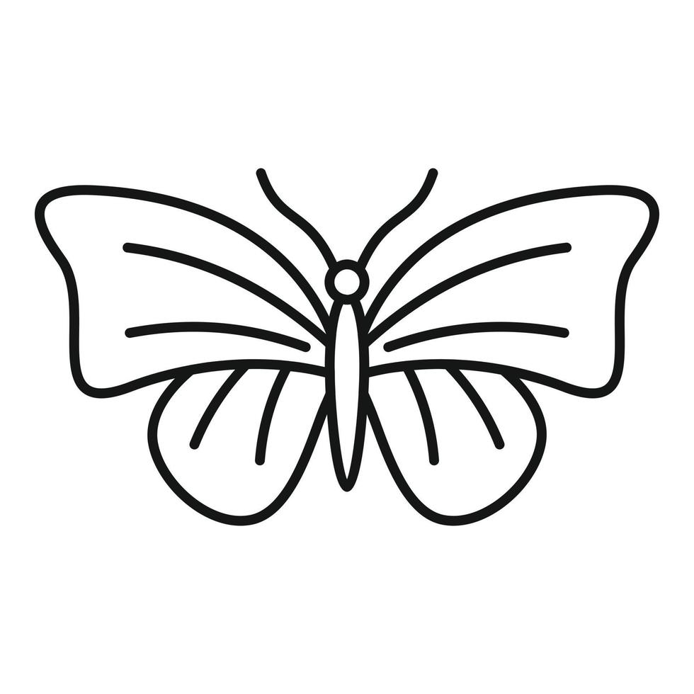 icono de mariposa polilla, estilo de esquema vector