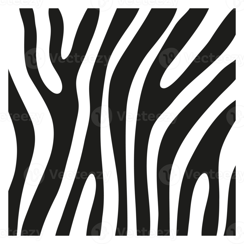 svarta ränder på huden på en zebra för dekorationsgrafik png