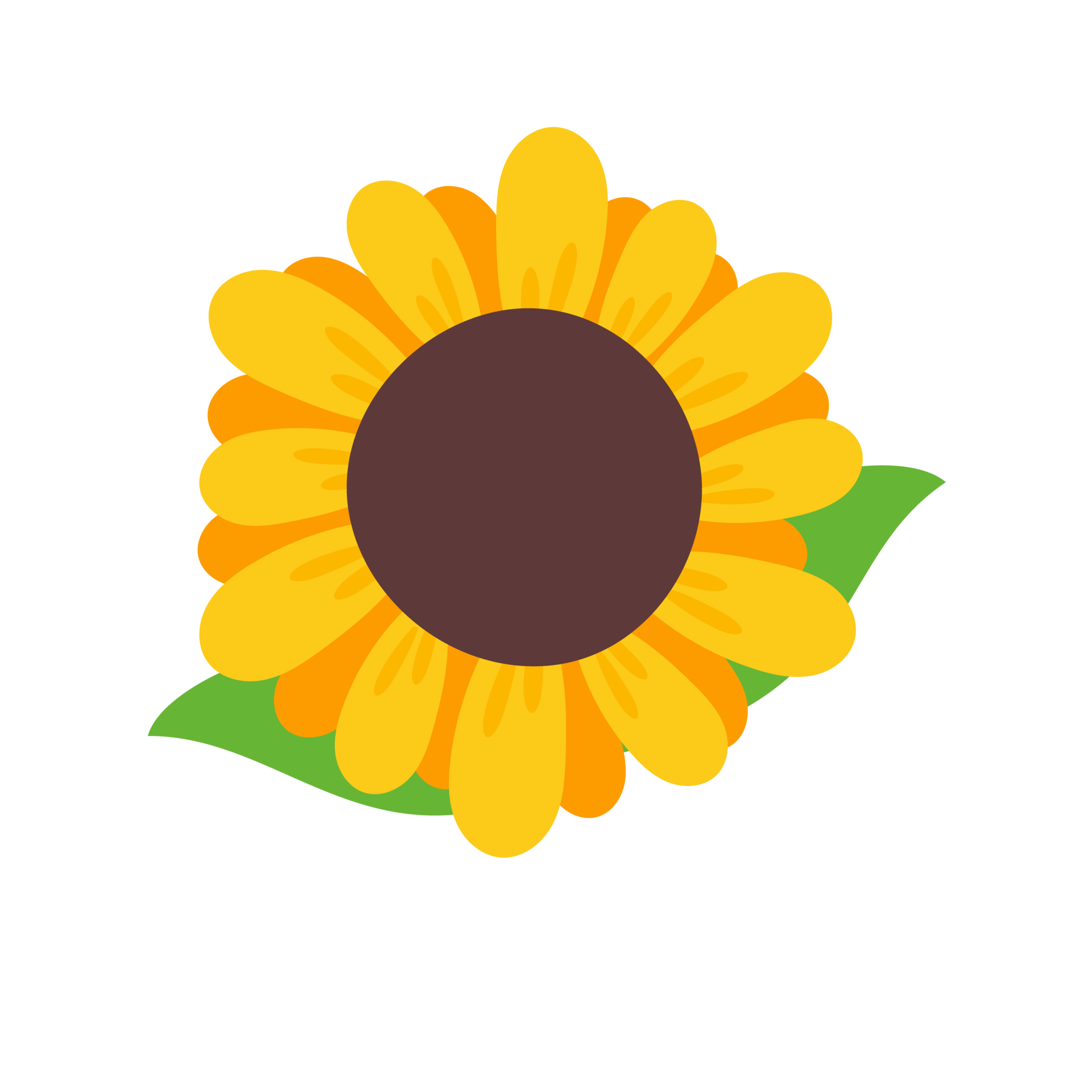 Free blooming yellow sunflowers full of sunflower seeds inside for decorating welcome cards 14615643 PNG with Transparent Background Free blooming yellow sunflowers full of sunflower seeds inside for decorating welcome cards 14615643 PNG with Transparent Background