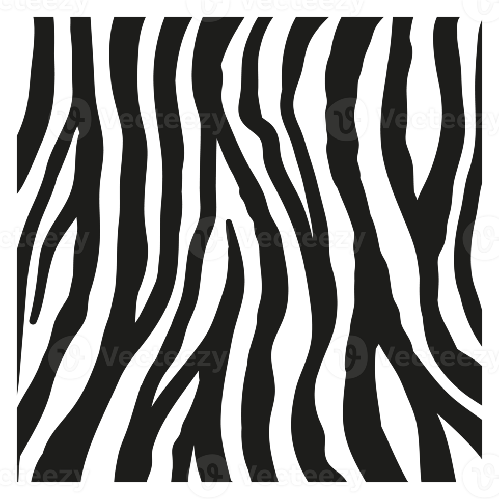 svarta ränder på huden på en zebra för dekorationsgrafik png